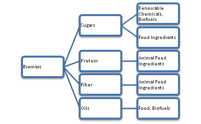 biomass efficiently